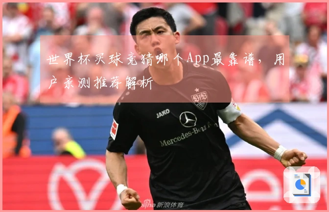 世界杯买球竞猜哪个App最靠谱，用户亲测推荐解析