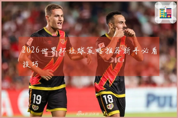 2026世界杯让球策略推荐新手必看技巧