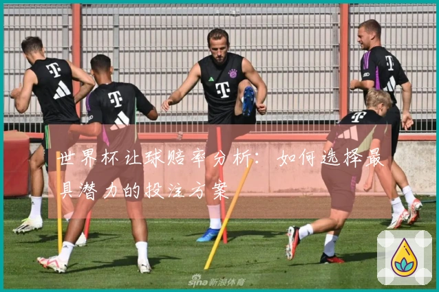 世界杯让球赔率分析：如何选择最具潜力的投注方案