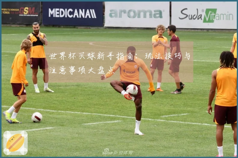 世界杯买球新手指南：玩法技巧与注意事项大盘点