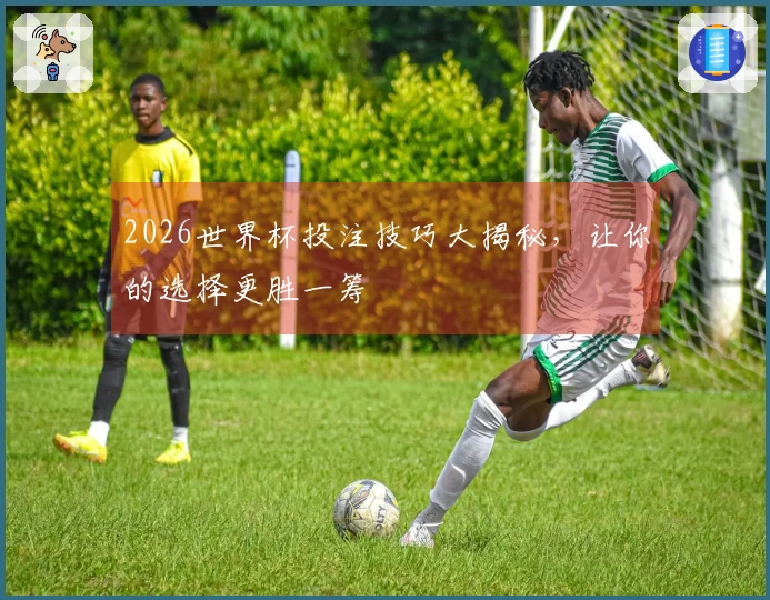 2026世界杯投注技巧大揭秘，让你的选择更胜一筹