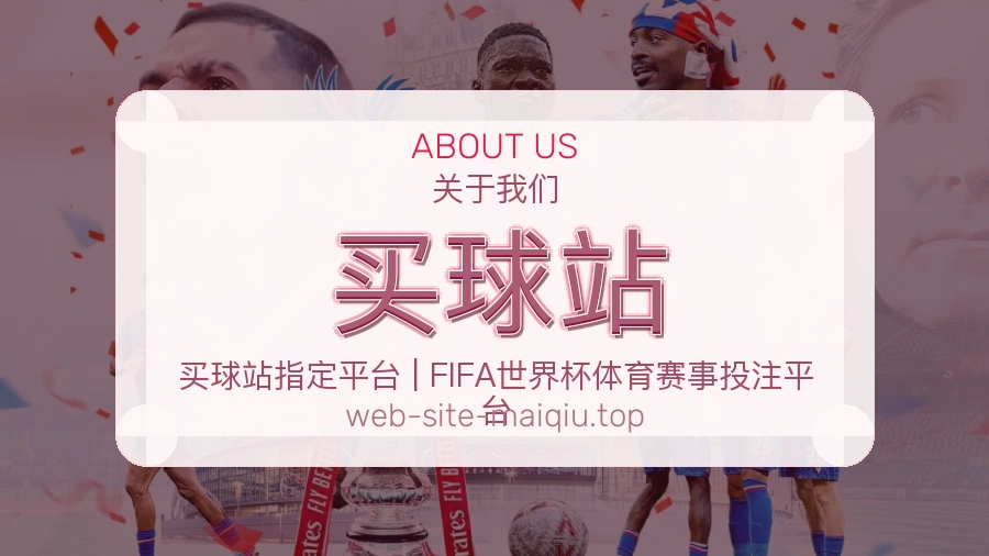 关于 买球站 团队与服务